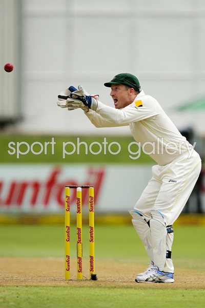 Brad Haddin Australia v South Africa Port Elizabeth 2014