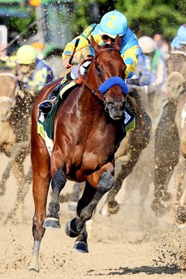 American Pharoah wins 2015 Kentucky Derby Churchill Downs