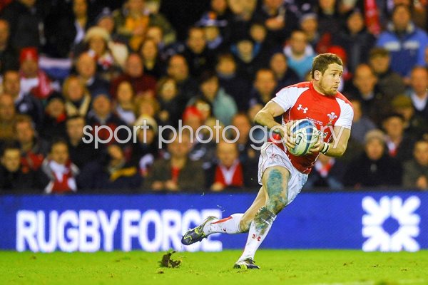 Shane Williams action v Wales 2011