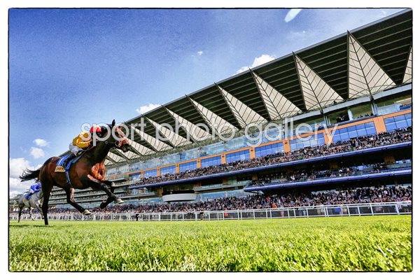 Buckhounds Stakes Ascot Races 2015