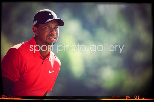 Tiger Woods THE PLAYERS Championship 2015