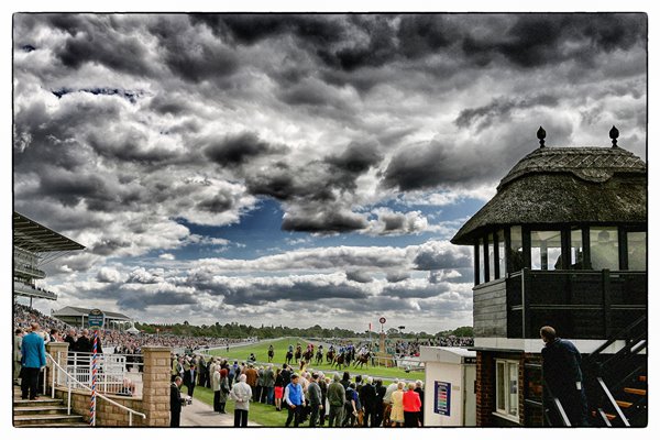 York Races Alternative View 2015