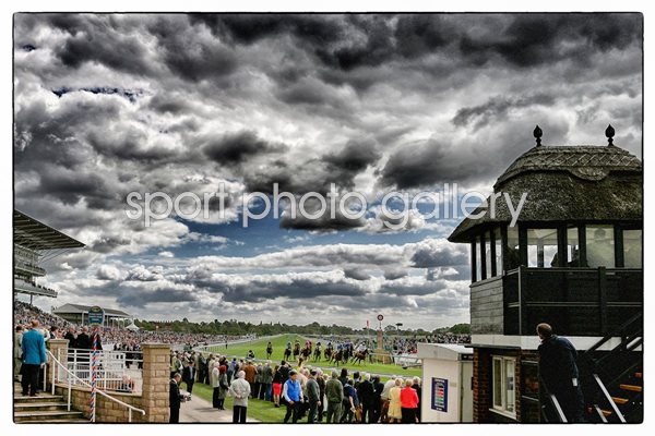 York Races Alternative View 2015