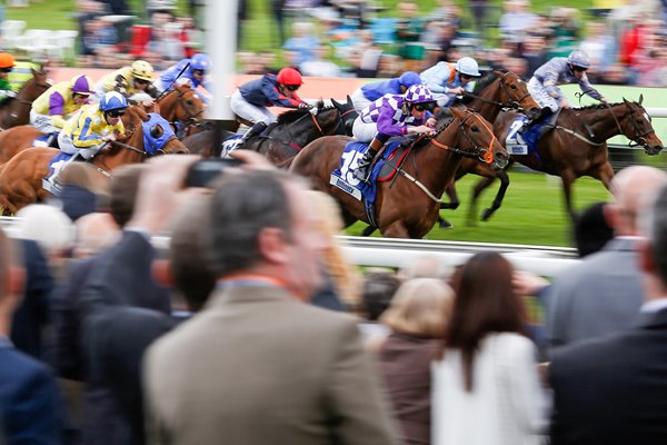 York Races 2015