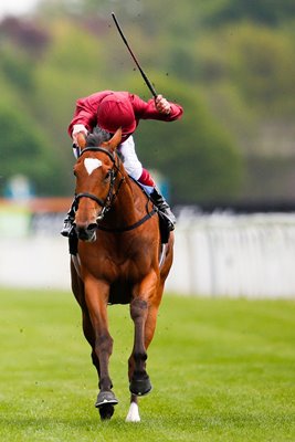 Star Of Seville Frankie Dettori York Races 2015