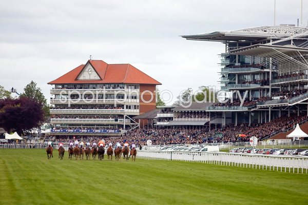 York Races Dante Festival 2015