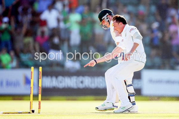 Dale Steyn South Africa bowls Brad Haddin Australia 2014