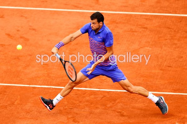 Grigor Dimitrov French Open 2015