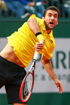 Marin Cilic French Open 2015