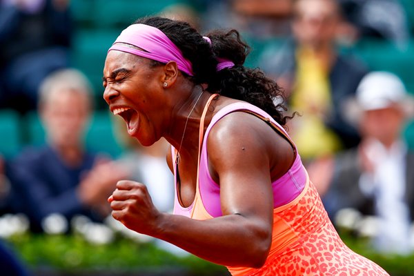 Serena Williams Photos Posters And Prints Tennis Photos 