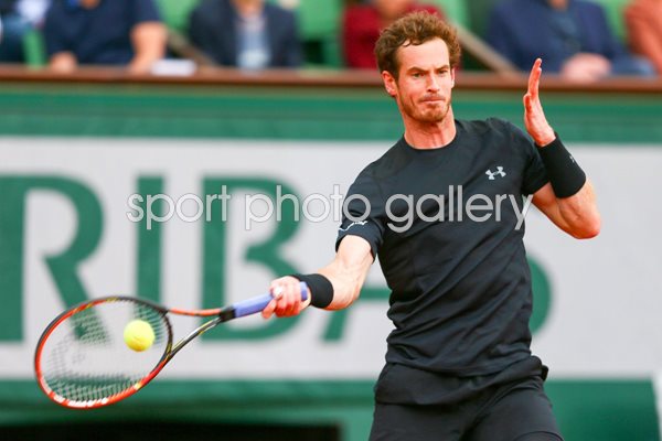 Andy Murray French Open 2015