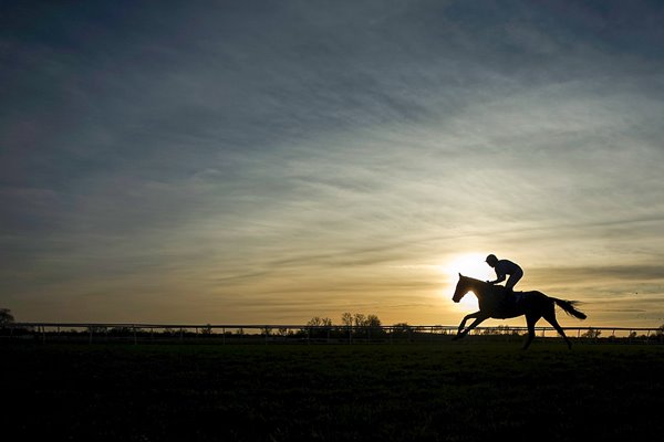 Huntingdon Races