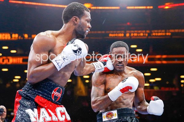 Marcus Browne v Cornelius White New York 2015