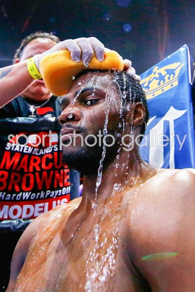 Marcus Browne v Cornelius White New York 2015