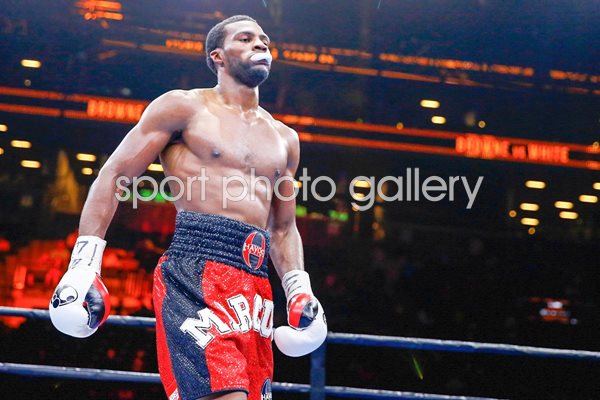 Marcus Browne v Cornelius White New York 2015