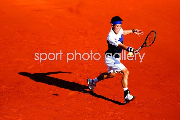 Kei Nishikori French Open 2015