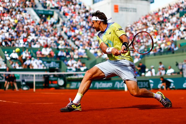 David Ferrer French Open 2015