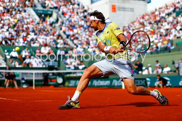 David Ferrer French Open 2015