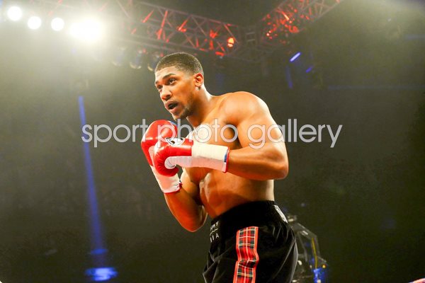 Anthony Joshua wins v Hector Avila Glasgow 2014