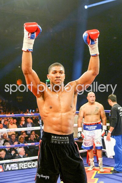 Anthony Joshua wins v Hector Avila Glasgow 2014