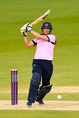 David Malan Middlesex v Glamorgon 2015