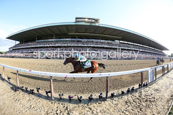 American Pharoah wins 147th Belmont Stakes 2015