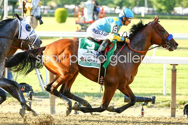 American Pharoah wins 147th Belmont Stakes 2015