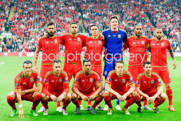 Wales v Belgium 2015