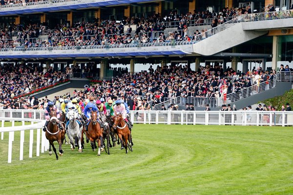 Royal Ascot 2015