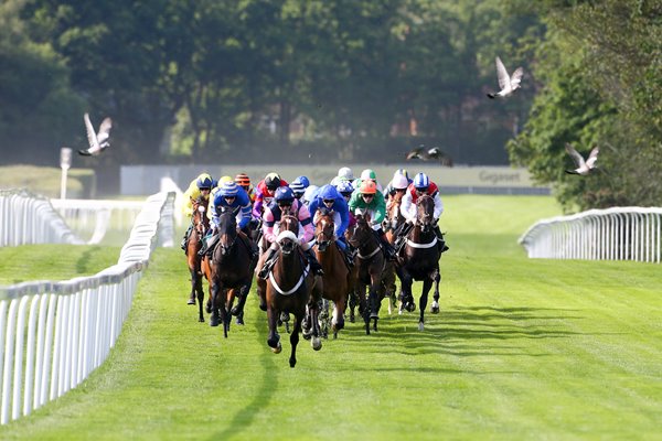 Royal Ascot 2015