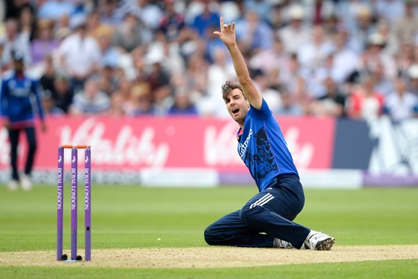 Steven Finn England v New Zealand 2015