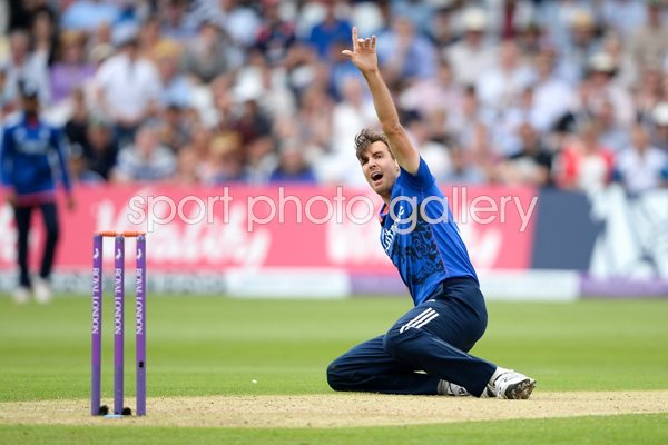 Steven Finn England v New Zealand 2015