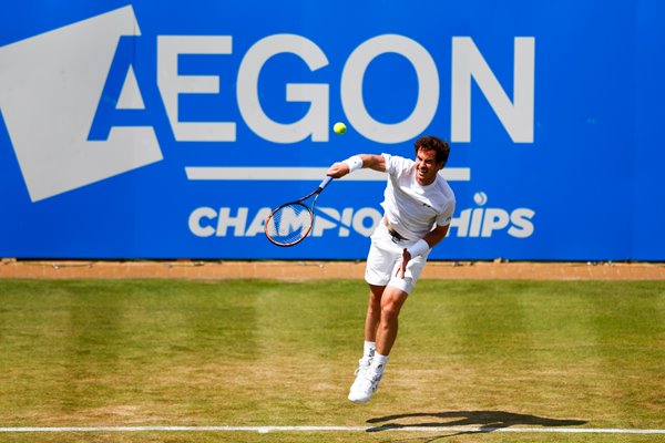 Andy Murray Aegon Championships 2015