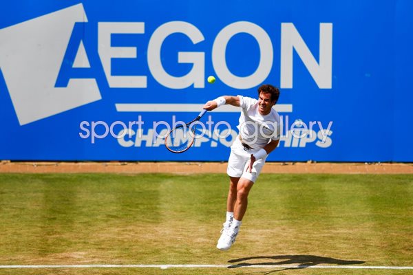 Andy Murray Aegon Championships 2015