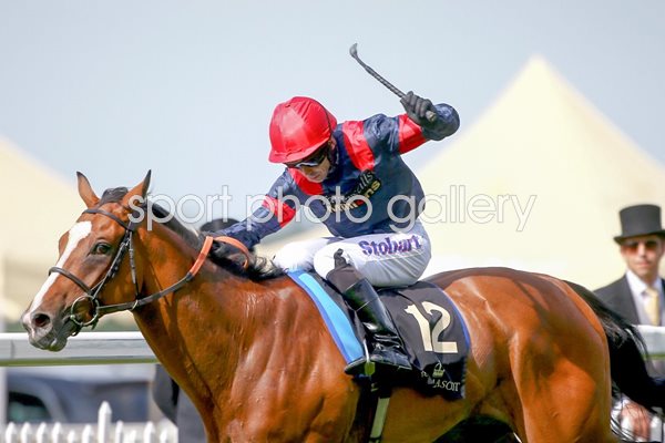 2015 Trip To Paris Gold Cup Winner 