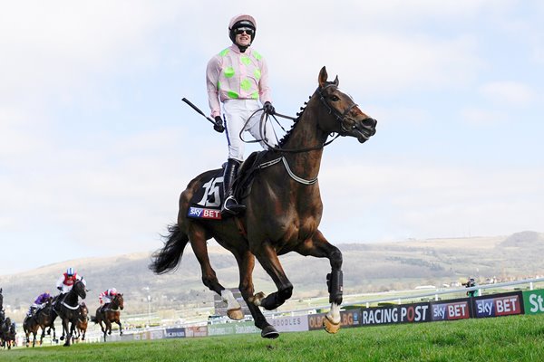 Ruby Walsh & Vautour Novices Hurdle Cheltenham 2014