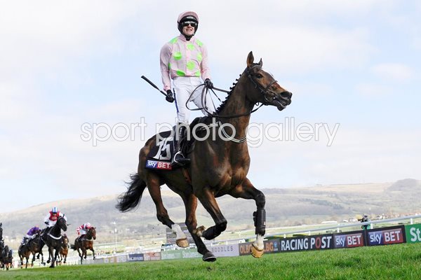 Ruby Walsh & Vautour Novices Hurdle Cheltenham 2014