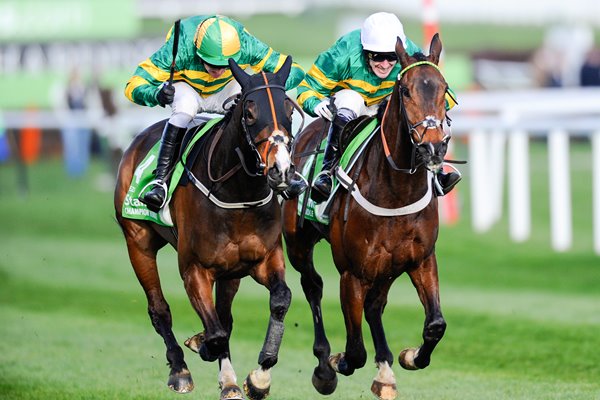 Barry Geraghty & Jezki win Champion Hurdle Cheltenham 2014