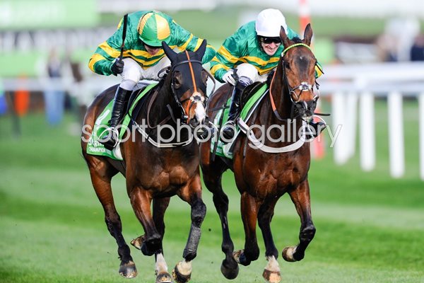Barry Geraghty & Jezki win Champion Hurdle Cheltenham 2014