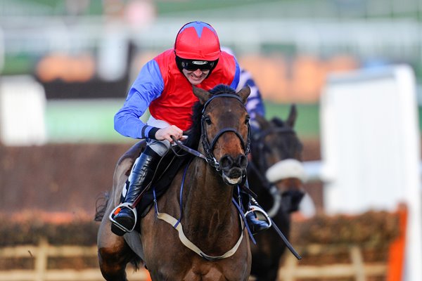 Ruby Walsh & Quevega 6th Mares' Hurdle Cheltenham 2014