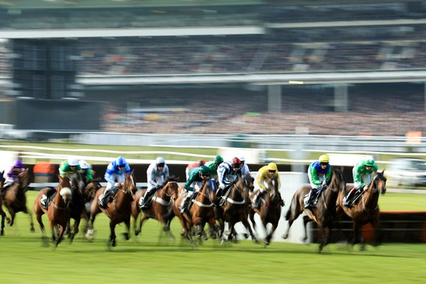 Cheltenham Festival Champion Day 2014