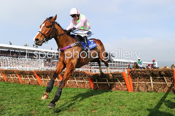 Ruby Walsh on Faugheen Cheltenham Festival 2014