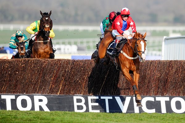 Sire De Grugy Cheltenham Festival 2014