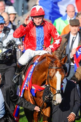 Sire De Grugy Cheltenham Festival 2014