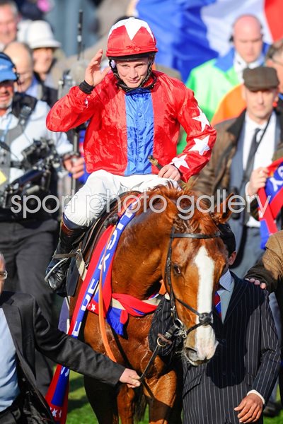 Sire De Grugy Cheltenham Festival 2014