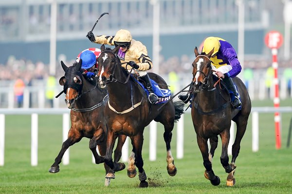 Davy Russell Lord Windermere Cheltenham Gold Cup 2014