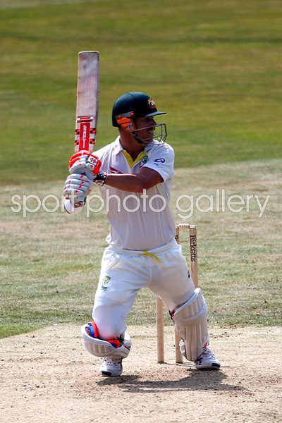 David Warner Australia Essex 2015