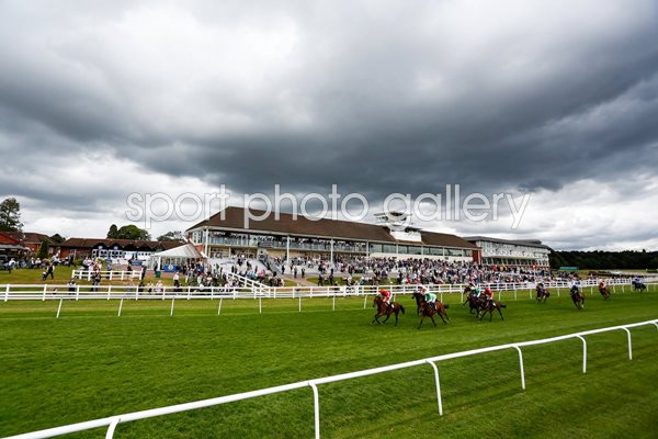 Lingfield Races 2015