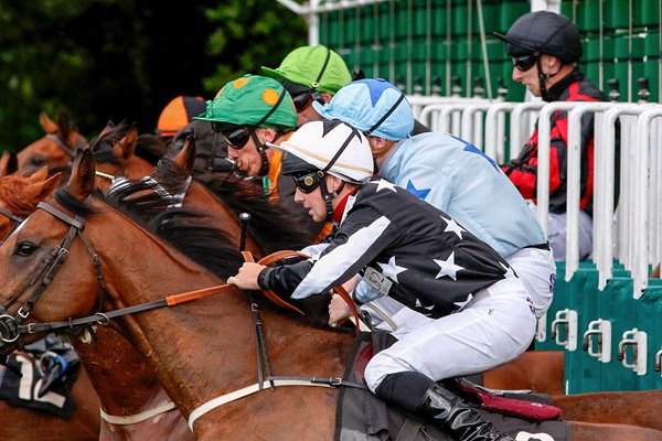 Lingfield Races 2015