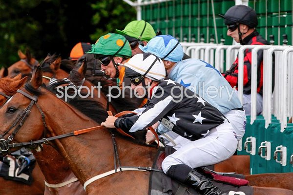 Lingfield Races 2015